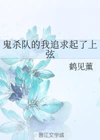 (鬼滅之刃同人)鬼殺隊的我追求起了上弦