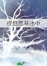 夜悠然易冰中