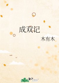 成雙記
