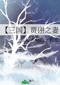 【三国】贾诩之妻