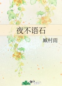 夜不語石