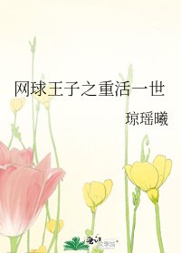 网球王子之重活一世