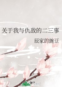 《關於我與仇敵的二三事》