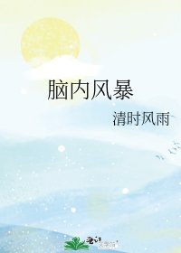 脑内风暴