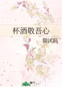 杯酒敬吾心