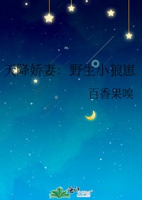 天降娇妻:野生小狼崽