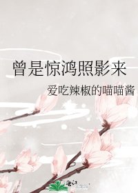 曾是惊鸿照影来