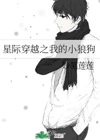 星际穿越之我的小狼狗