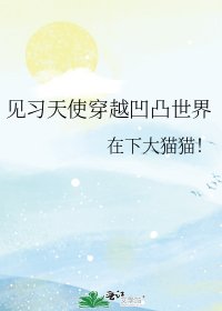 见习天使穿越凹凸世界