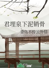 《君埋泉下泥銷骨》