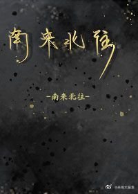 南来北往