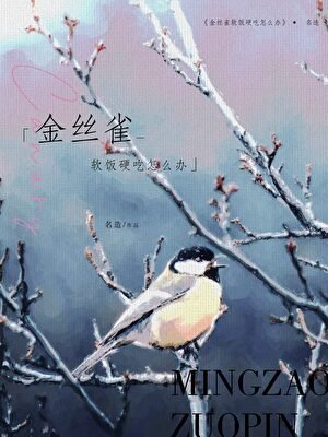 金丝雀鼻饭影吃怎么办