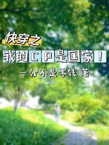跪穿:我的CP是國家!