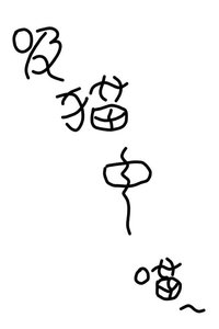 《偶遇貓貓拼盡全力無法抵抗》