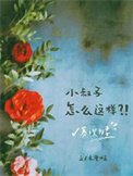 寡嫂為妻