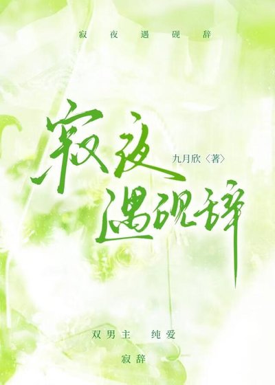寂夜遇砚辞