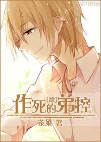 (综同人)养成/作死的弟控