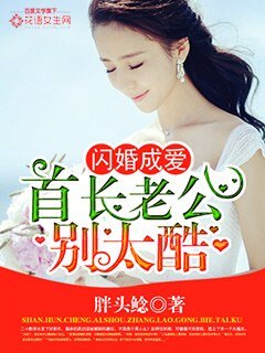 闪婚成爱:首长老公别太酷